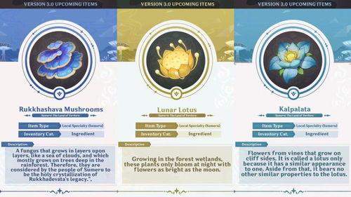 草神爆料视频,神秘力量觉醒，奇幻世界即将展开  第2张