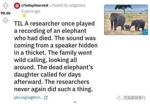 大象新闻爆料情感剧本是真的吗,真相揭秘,是虚构还是真实? 第1张 大象新闻爆料情感剧本是真的吗,真相揭秘,是虚构还是真实? 第1张